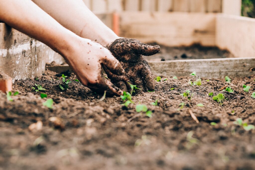 What Is Composting?